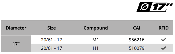 Pilot Sport Cup T - Available Sizes